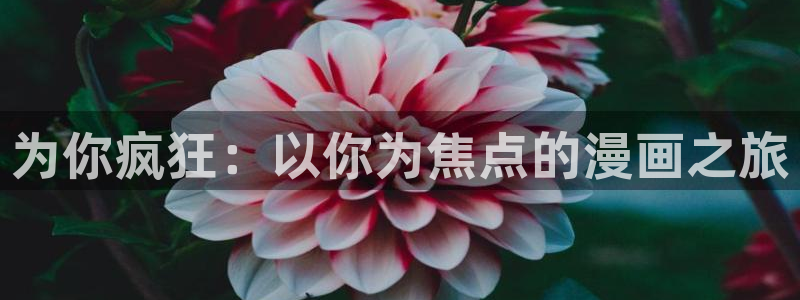 yy漫画入口大全