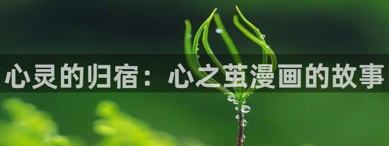 yy漫画免费观看完整