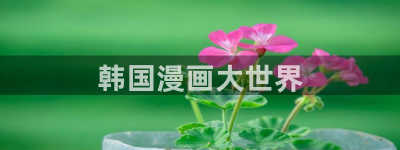 yy漫画网下拉式