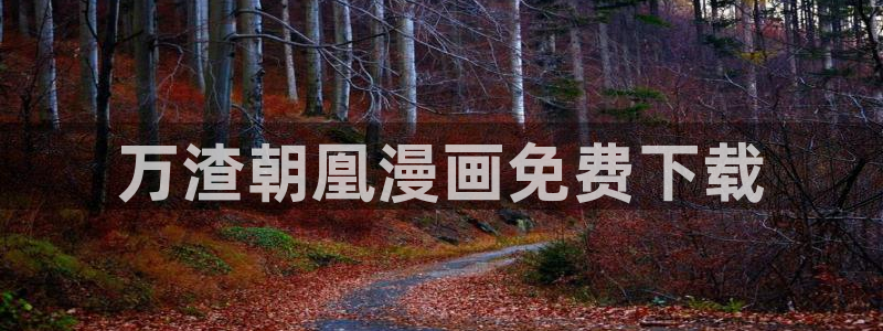 yy漫画首页登录入口在哪里