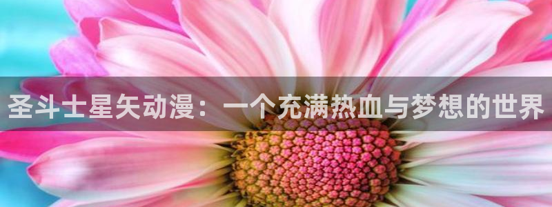 yy漫画网站免费观看：圣斗士星矢动漫：一个充满热血与梦想的世界